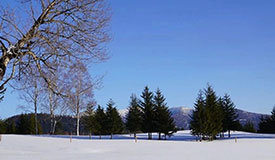 健康促进丨小雪养生，藏养阳气